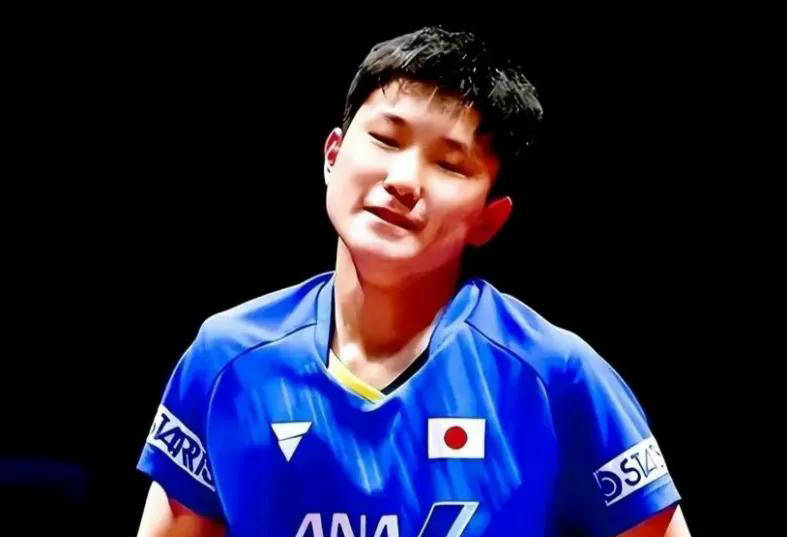 中国乒乓球队横扫法国乒乓球队，张本智和爆发神勇的简单介绍