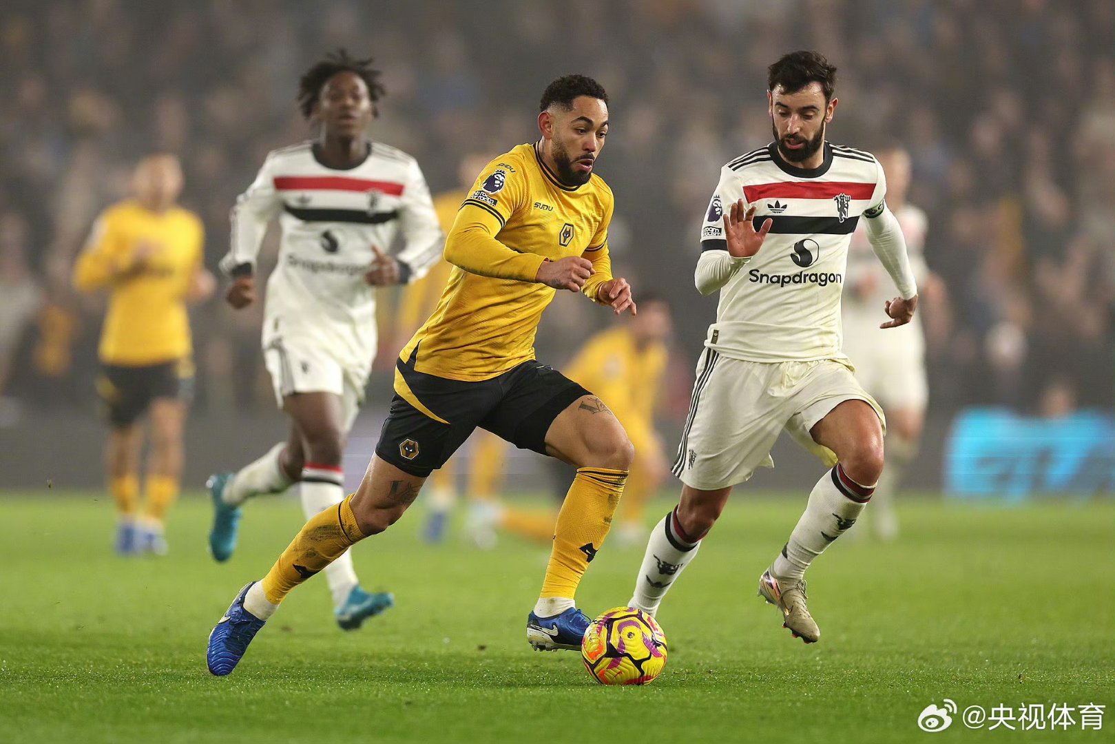 狼队挑落曼城，英超升班马再次嘲笑世人的简单介绍