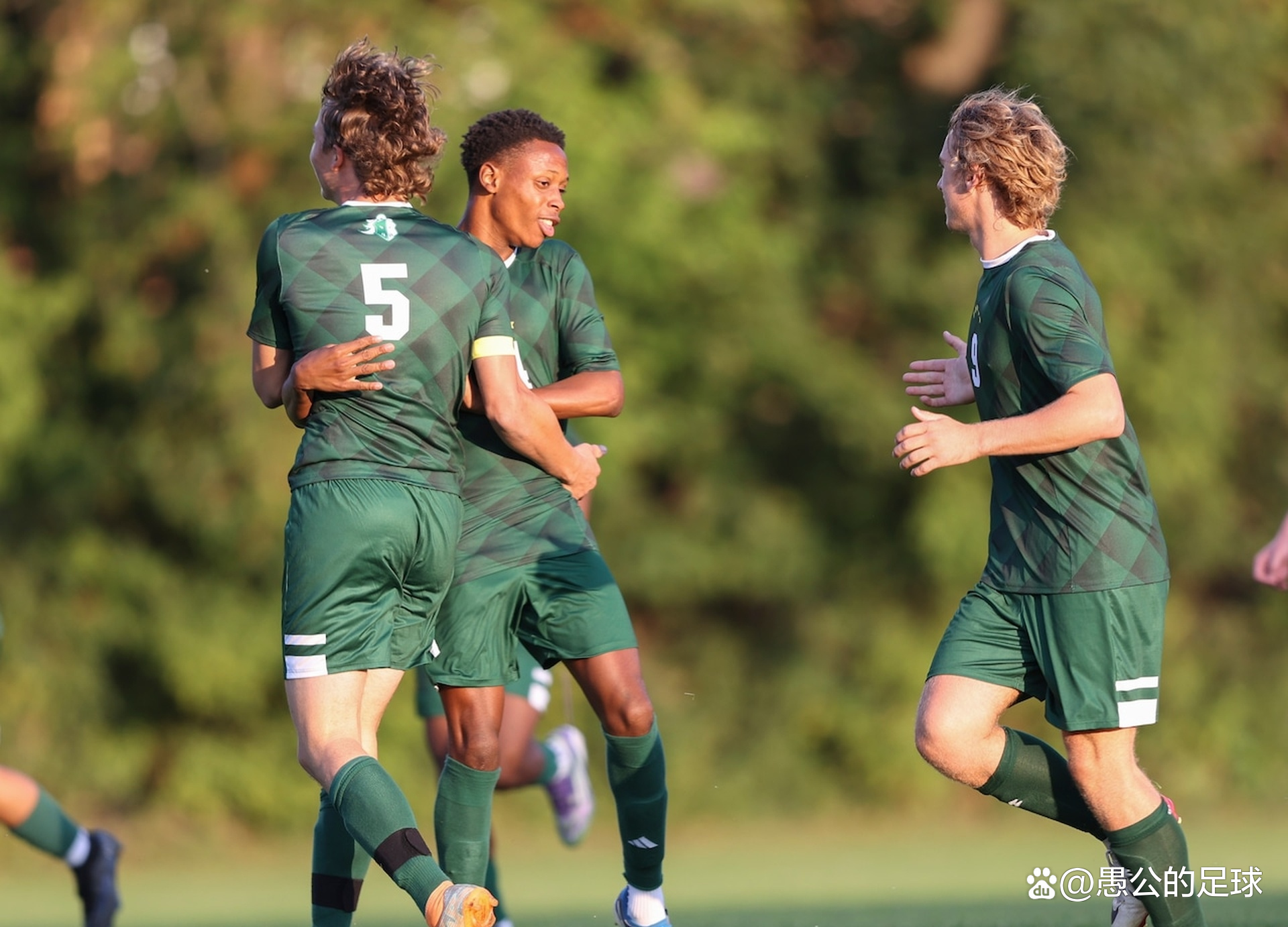 哈斯车队绝杀威廉姆斯,汉密尔顿统治全场的简单介绍 哈斯车队绝杀威廉姆斯,汉密尔顿统治全场的简单介绍