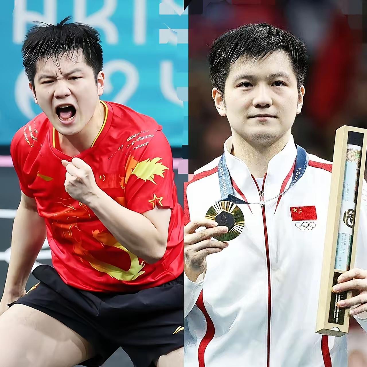 比利时乒乓球队轻取法国乒乓球队，樊振东统治全场的简单介绍