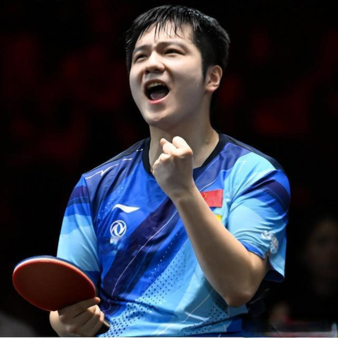 包含波兰乒乓球队碾压瑞典乒乓球队，樊振东绝境逆转的词条