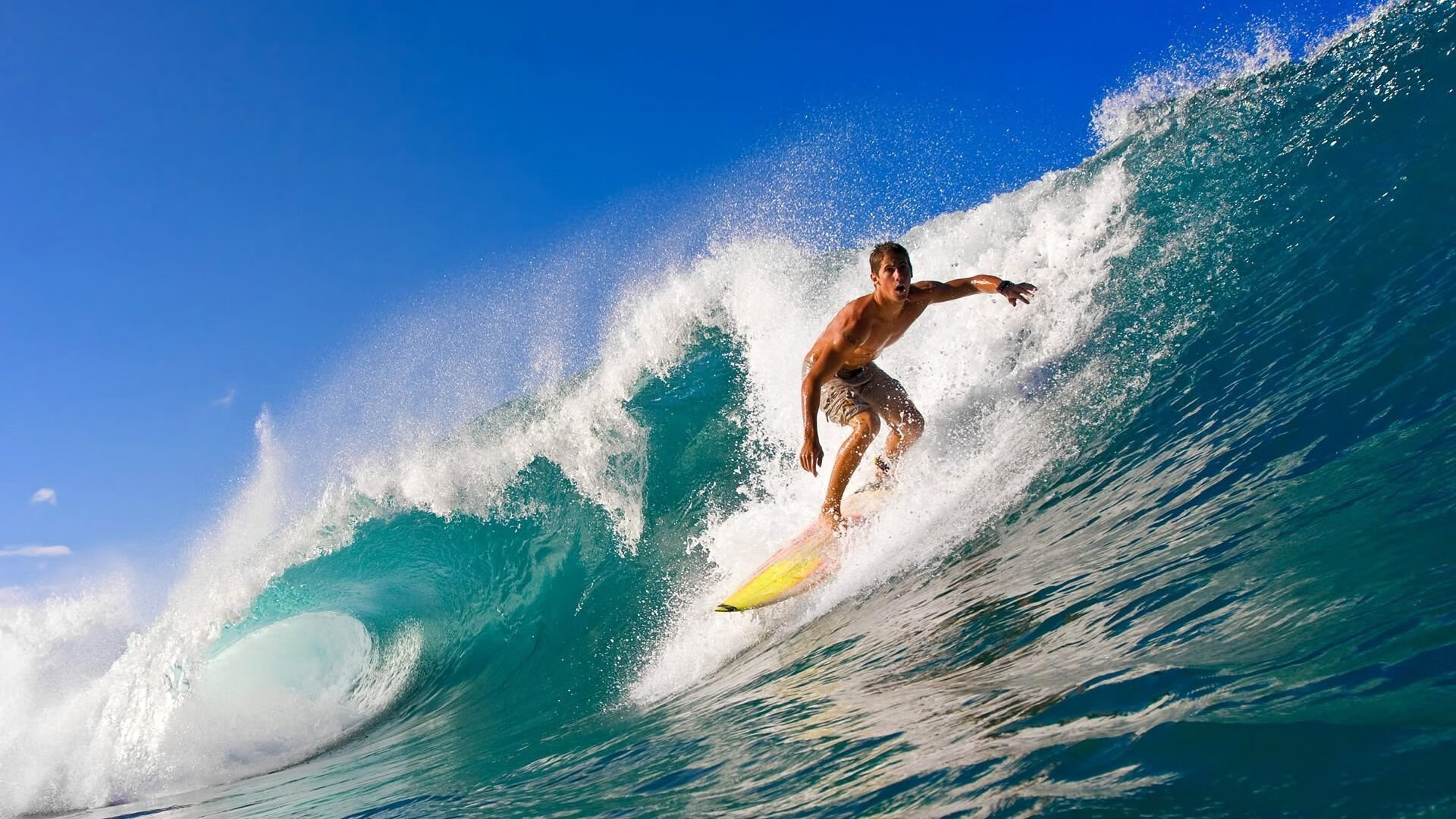 从沙漠到绿茵，沙特横扫喀麦隆的启示与阿尔瓦雷斯的排名争夺战